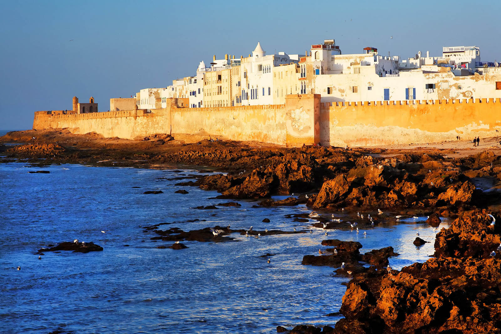 9 essaouira